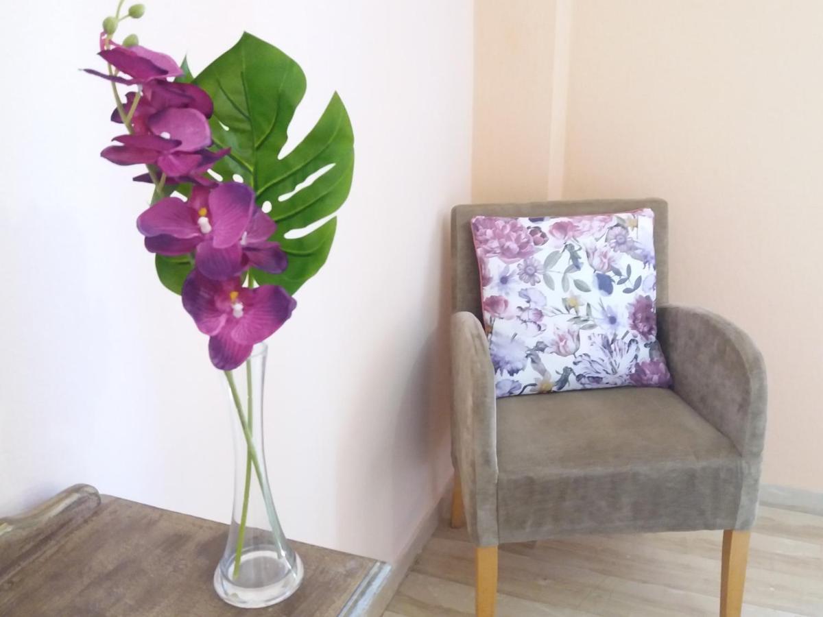 Alexandra Spingou Apartments ダシア エクステリア 写真
